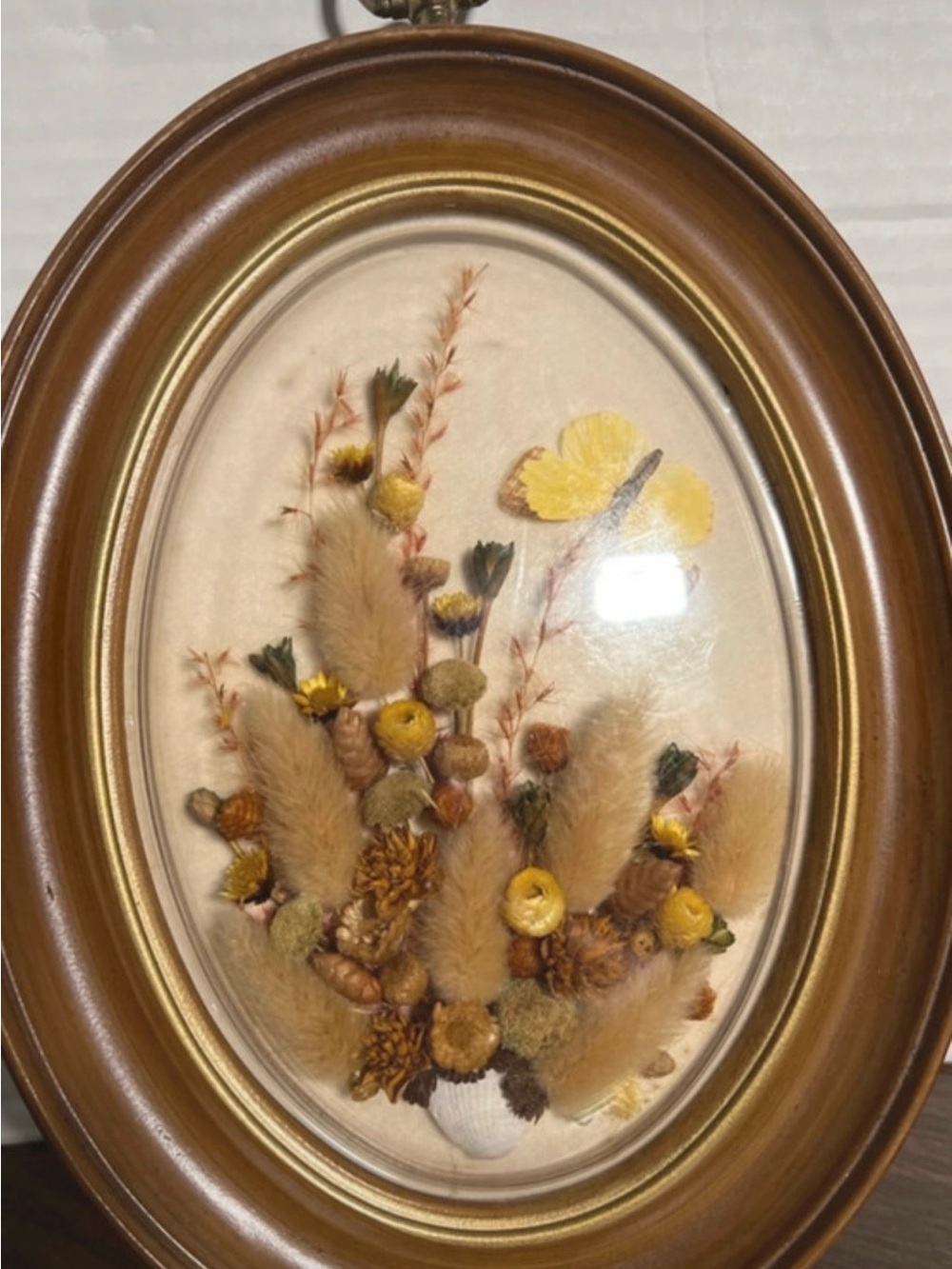 Vintage Dried pressed flowers and taxidermy butterfly in oval bubble frame